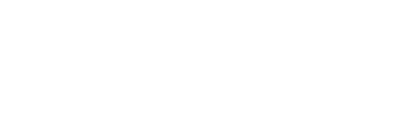 Magister Solutions